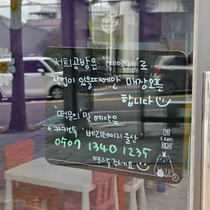 베리데이지 리뷰 사진