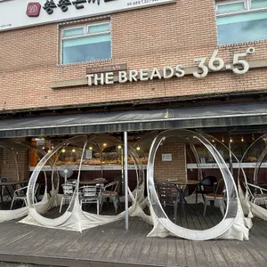 더브래드36.5도 대표 사진