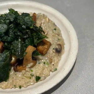 심퍼티쿠시 사진 2