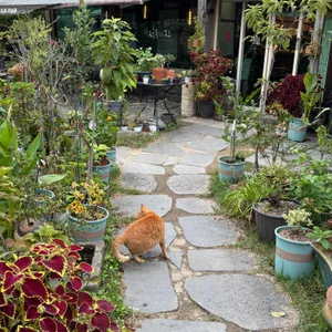 석등있는집 리뷰 사진