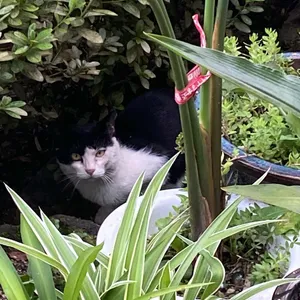 용문장어구이 리뷰 사진