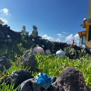 보말이야기 리뷰 사진