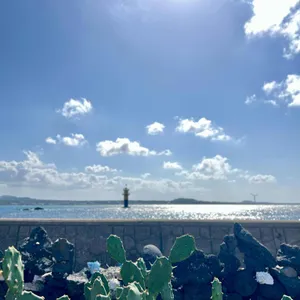 보말이야기 리뷰 사진