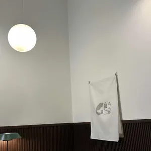 노체 리뷰 사진