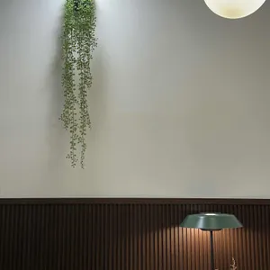 노체 리뷰 사진