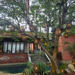 오아시스80 리뷰 사진