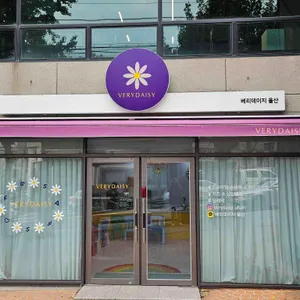 베리데이지 사진