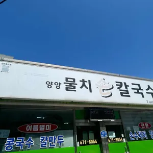 물치손칼국수 리뷰 사진