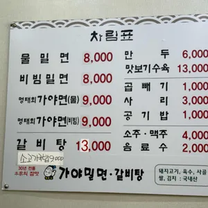가야밀면 리뷰 사진