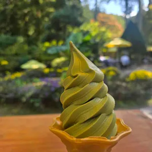 대한다원쉼터 사진