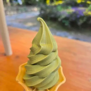 대한다원쉼터 대표 사진