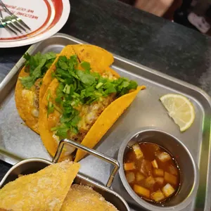 더타코부스 사진