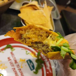 더타코부스 사진