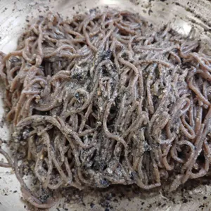 김포샘골막국수 사진