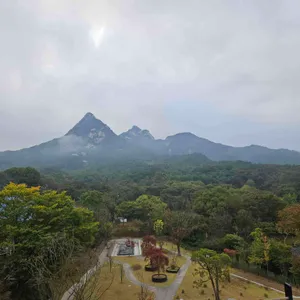 스타벅스 리뷰 사진