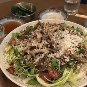 안락수 대표 사진