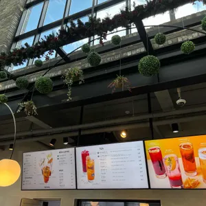 트리브링 리뷰 사진