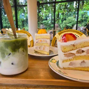 앨리스 케이커리 대표 사진