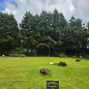 보름숲 리뷰 사진