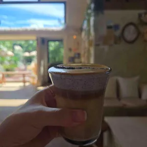 미깡창고감귤밭 사진