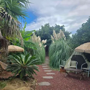 미깡창고감귤밭 리뷰 사진