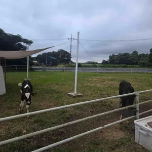 어니스트밀크 리뷰 사진