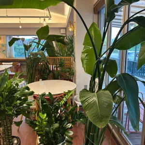 졸리굿 리뷰 사진