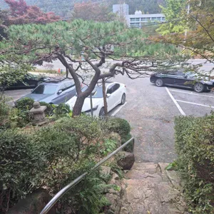 빛두리 리뷰 사진