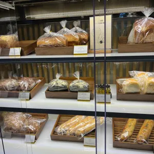 파라스파라 델리 사진