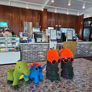 스테이 클래시 리뷰 사진