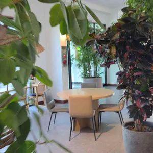 스테이 클래시 리뷰 사진