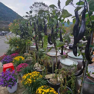 칠갑산맛집 리뷰 사진