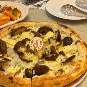 카멜오르조 대표 사진