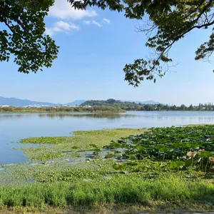 흐른 리뷰 사진