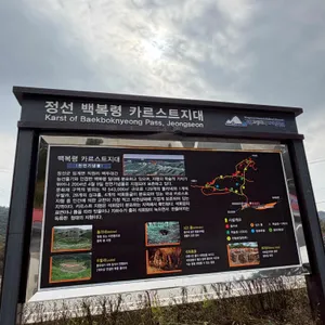 웰빙마을 리뷰 사진