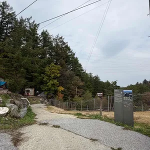 웰빙마을 리뷰 사진