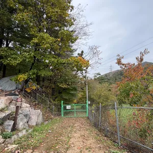 웰빙마을 리뷰 사진