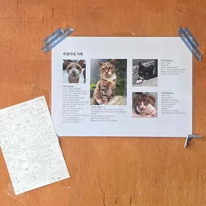 울프소셜클럽 리뷰 사진