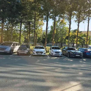 백일관 리뷰 사진