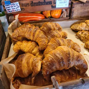 테디뵈르하우스 사진