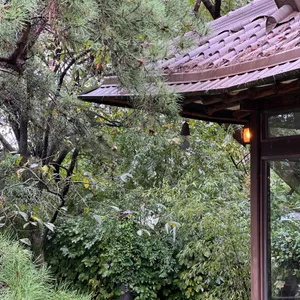 프란쓰 리뷰 사진