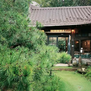 프란쓰 리뷰 사진