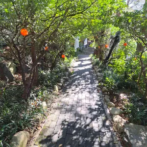 카페 만디 리뷰 사진