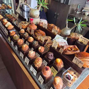 굴림 대표 사진