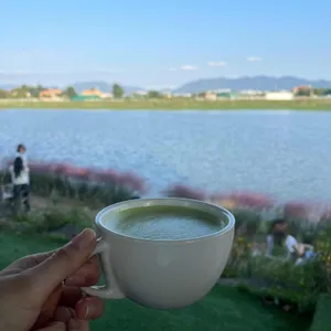 비아조 대표 사진