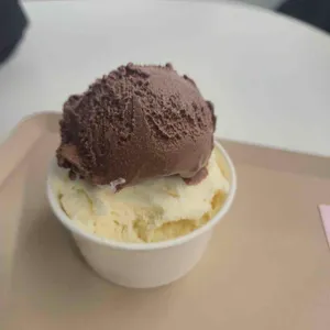 글라쇼 대표 사진