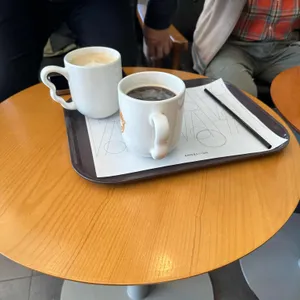 엔제리너스 사진