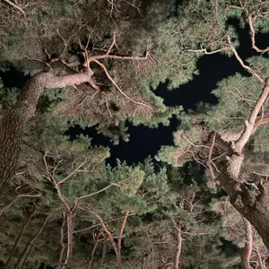 소울 로스터리 리뷰 사진