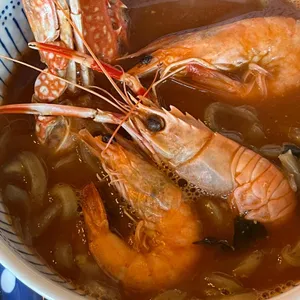 바다제비 대표 사진