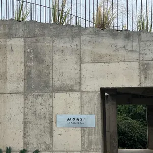 모아시 리뷰 사진